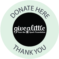 Donate on our Give a little page